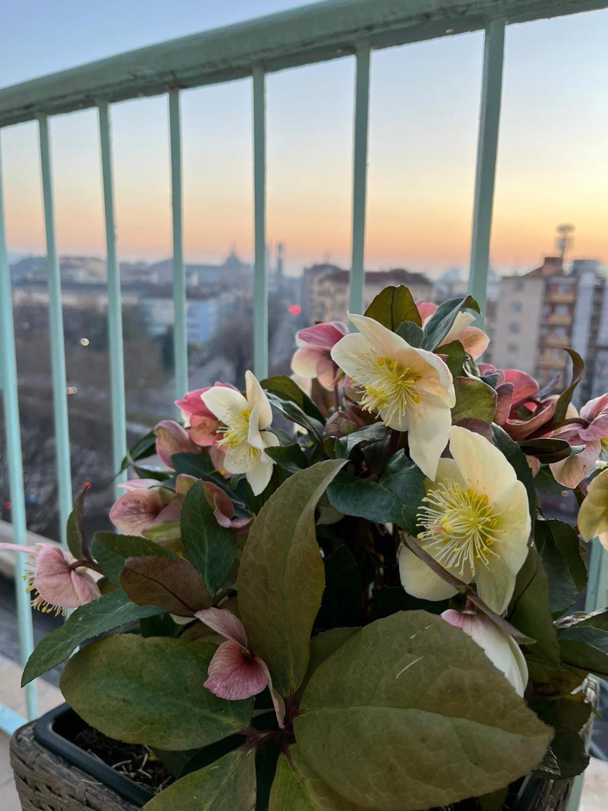 Ferienwohnung Attico Ellen Terrazza Con Vista Turin Exterior foto